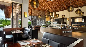 PARADISUS PLAYA DEL CARMEN