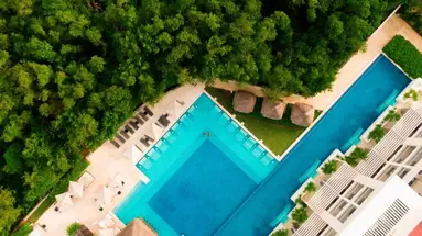 PARADISUS PLAYA DEL CARMEN