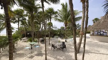 Paradisus Playa Del Carmen