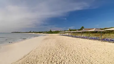 PARADISUS PLAYA DEL CARMEN