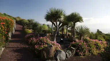 Parador de La Palma