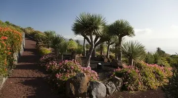 PARADOR DE LA PALMA