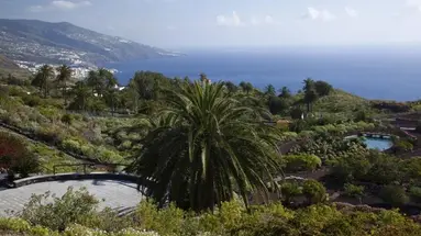 Parador La Palma