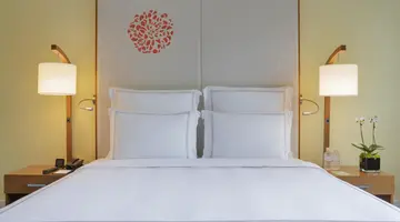 Paradox Singapore