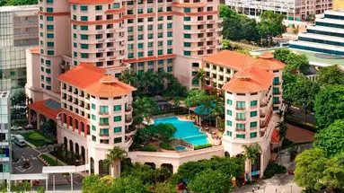 Paradox Singapore