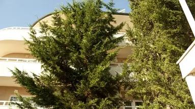 Park Hotel Bellevue