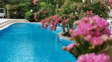 Park Hotel Briz
