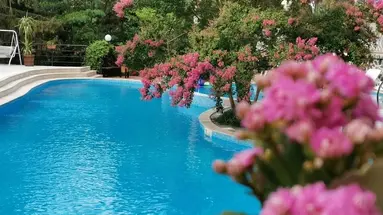 Park Hotel Briz
