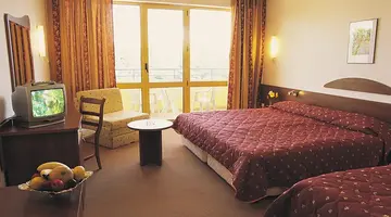 Park-Hotel Continental