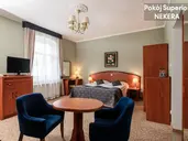 Park Hotel KUR & SPA - Adults only