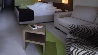 PARK HOTEL MAKARSKA