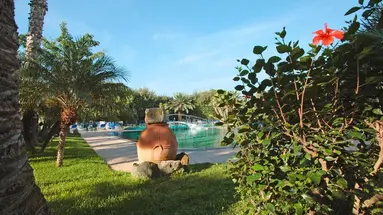 Park Hotel Terme Mediterraneo