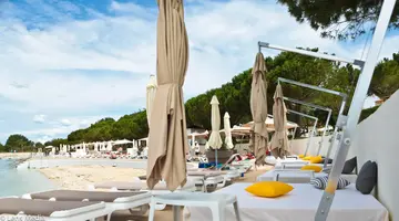 Park Plaza Belvedere