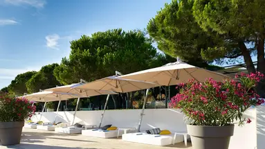 Park Plaza Belvedere
