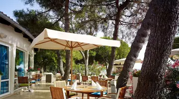 Park Plaza Belvedere