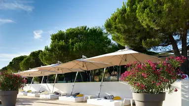 Park Plaza Belvedere