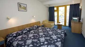 Parkhotel Continental