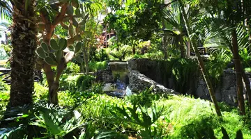 Parque Tropical