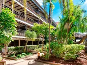 Parque Tropical