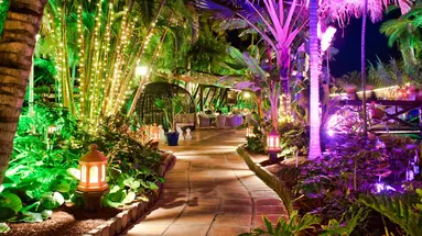 PARQUE TROPICAL