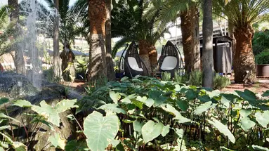 PARQUE TROPICAL