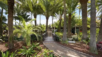 Parque Tropical