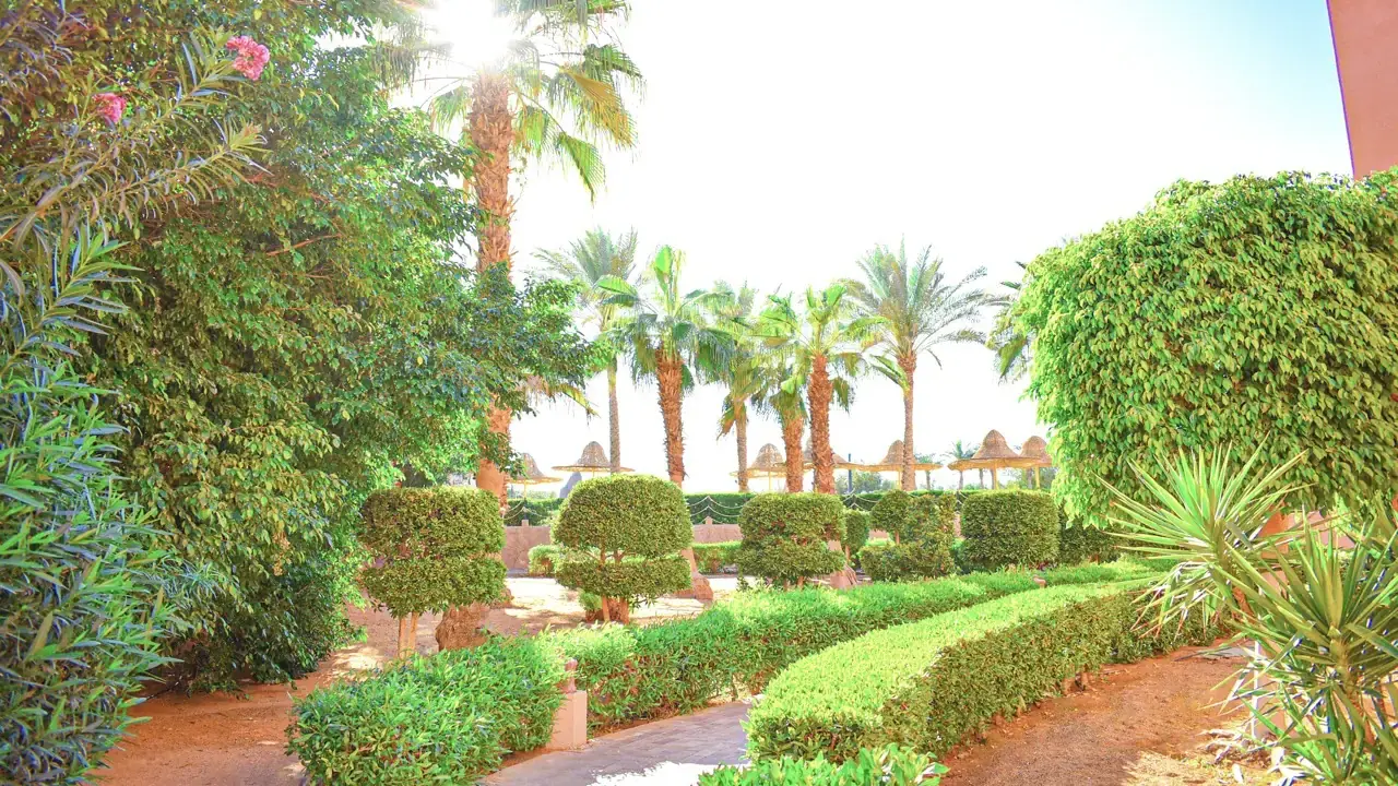 Parrotel Aqua Park Resort (ex. Park Inn)