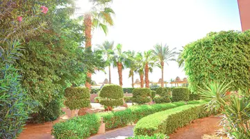 Parrotel Aqua Park Resort (ex. Park Inn)