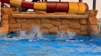 Parrotel Lagoon Resort