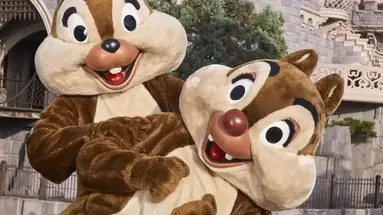Paryż - Disneyland (zwiedzanie)