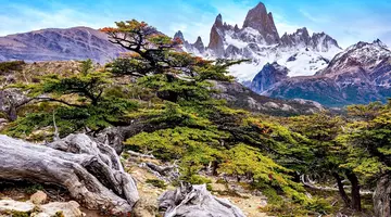 Patagonia: Buenos Aires I Ziemia Ognista