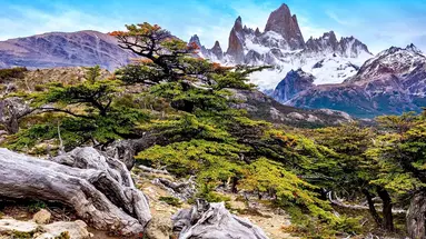 Patagonia: Buenos Aires I Ziemia Ognista