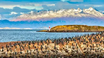 Patagonia Express