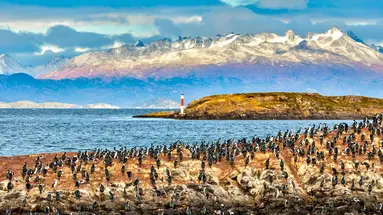 Patagonia Express