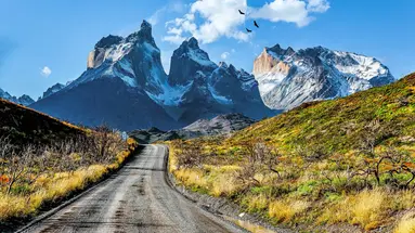 Patagonia Express