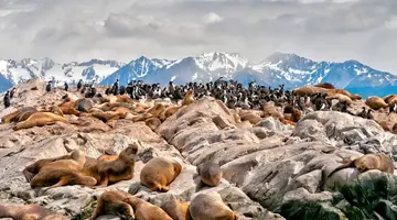 Patagonia Express