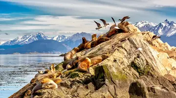 Patagonia Express