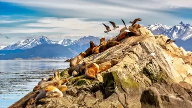 Patagonia Express