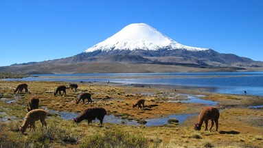 Patagonia Tour: Argentyna i Chile + ( opcjonalnie Wyspa Wielkanocna )