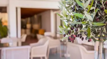 Paul Marie Hotel Apartments
