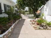 Pefkos Breeze Family Resort ( exThalia Hotel)