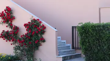 Pegasus Hotel