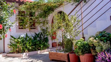 PENNYSTELLA APARTMENTS & STUDIOS