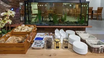 Pensjonat Śnieżka SPA