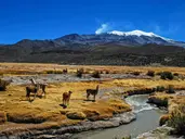 Perły Andów - skarby Peru i Boliwii