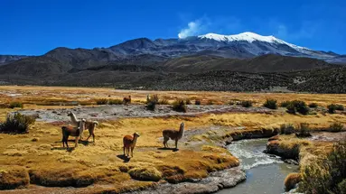 Perły Andów - skarby Peru i Boliwii