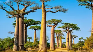 Perły Oceanu Indyjskiego