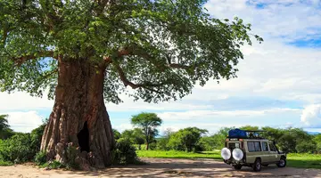 Perły Wschondiej Afryki: W Ugandzie I Rwandzie