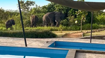 Perły Wschondiej Afryki: W Ugandzie I Rwandzie