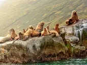 Peru i Boliwia